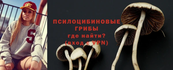 Альфа ПВП Нея