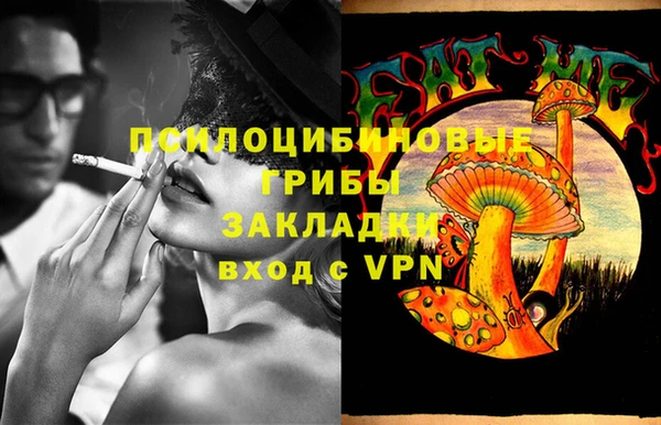 прущие крисы Новодвинск