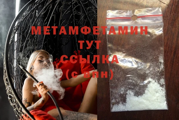 прущие грибы Новозыбков