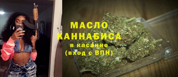 прущие грибы Новозыбков