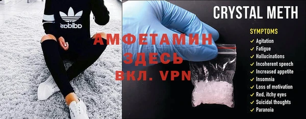 прущие грибы Новозыбков