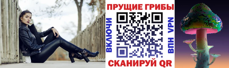 Галлюциногенные грибы Psilocybe Ясногорск